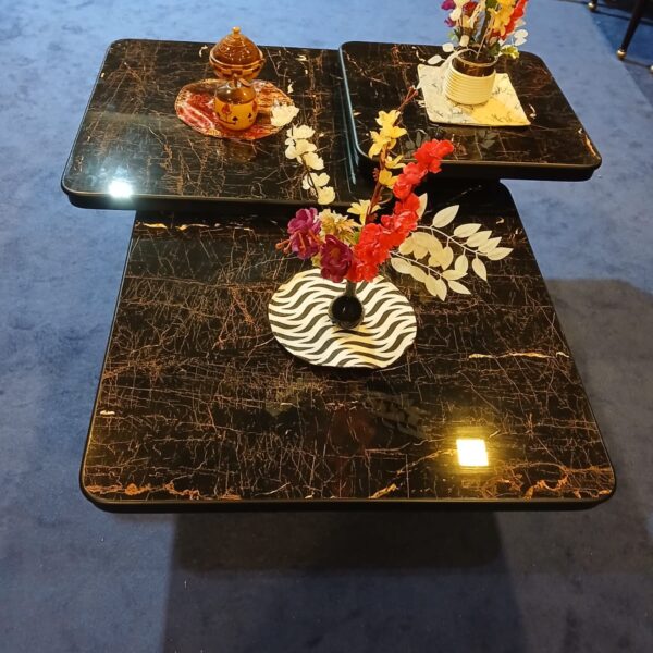 Table S3